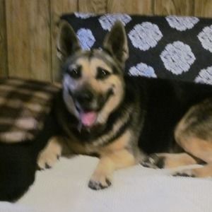 Meet your Posher, Darlene